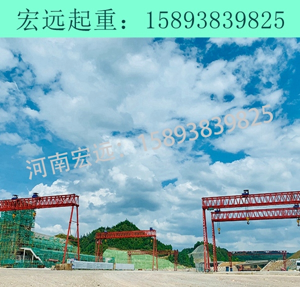 花架龙门吊出租